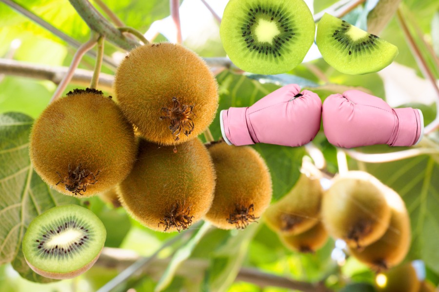 kiwi is power packed super fruit
